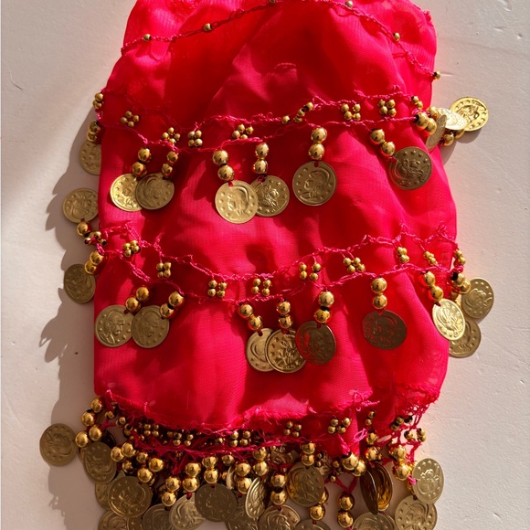 Fuchsia Coin Hip Scarf with Gold Coins for dogs - Picture 2 of 4